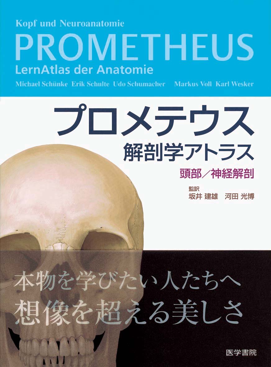 プロメテウス解剖学アトラス 頭頸部/神経解剖 胸部/腹部・骨盤部 第2版 プロメテウス解剖学アトラス 頭頸部/神経解剖 第3版 | 坂井 建雄